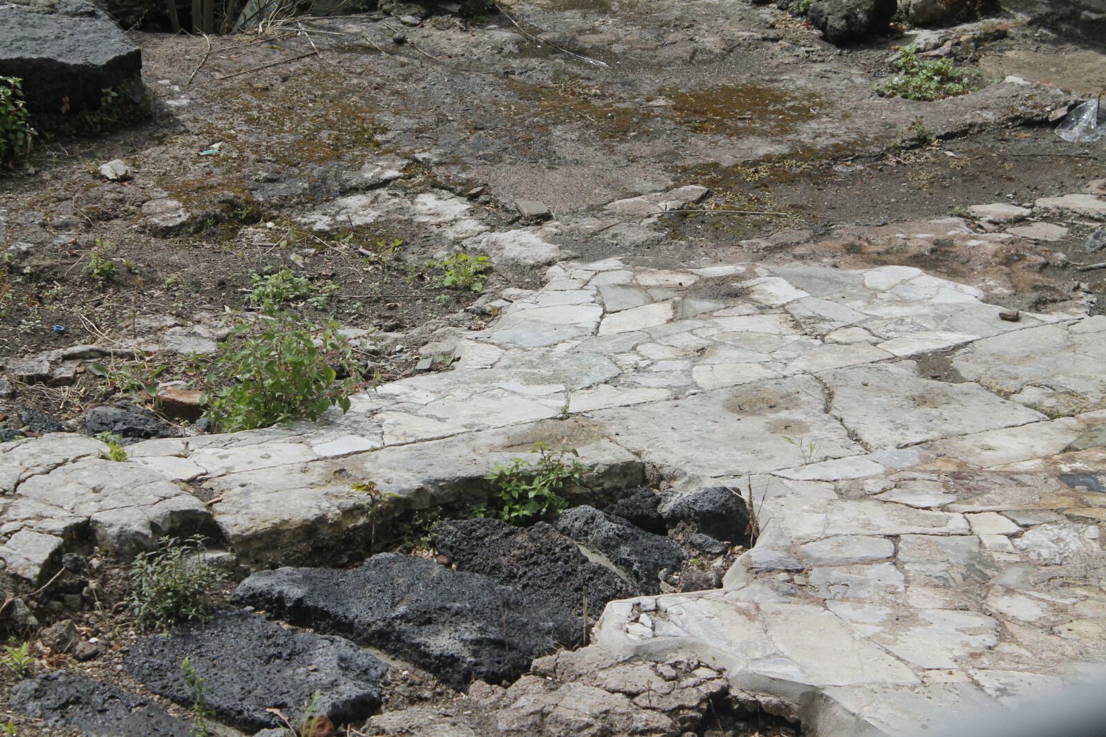 Terme della Rotonda, marmi, Catania.jpg